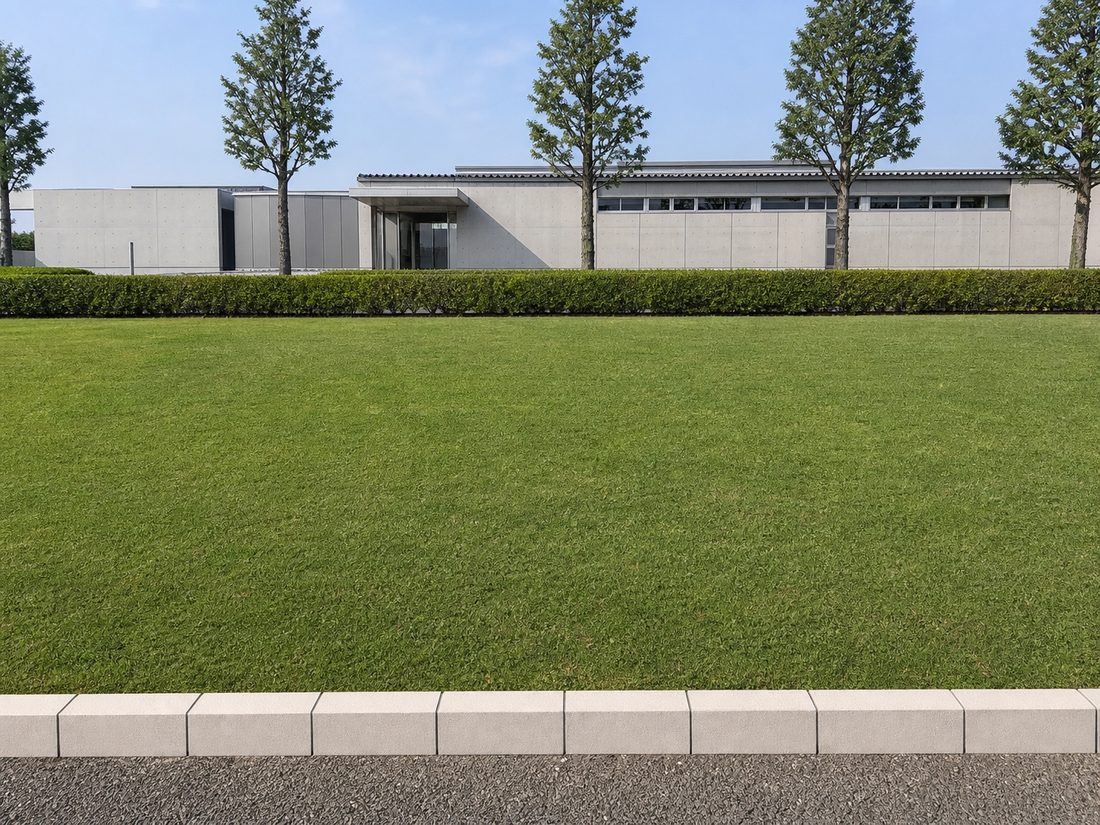 低層の公共施設の前庭に芝生が広く張られている様子